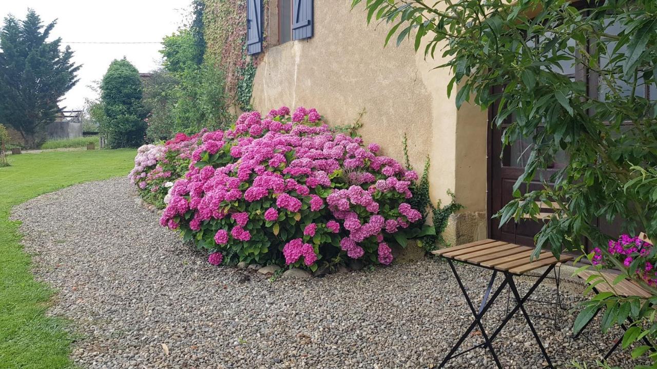 Ferienwohnung Le Peyroutet Cazaux-Villecomtal Exterior foto